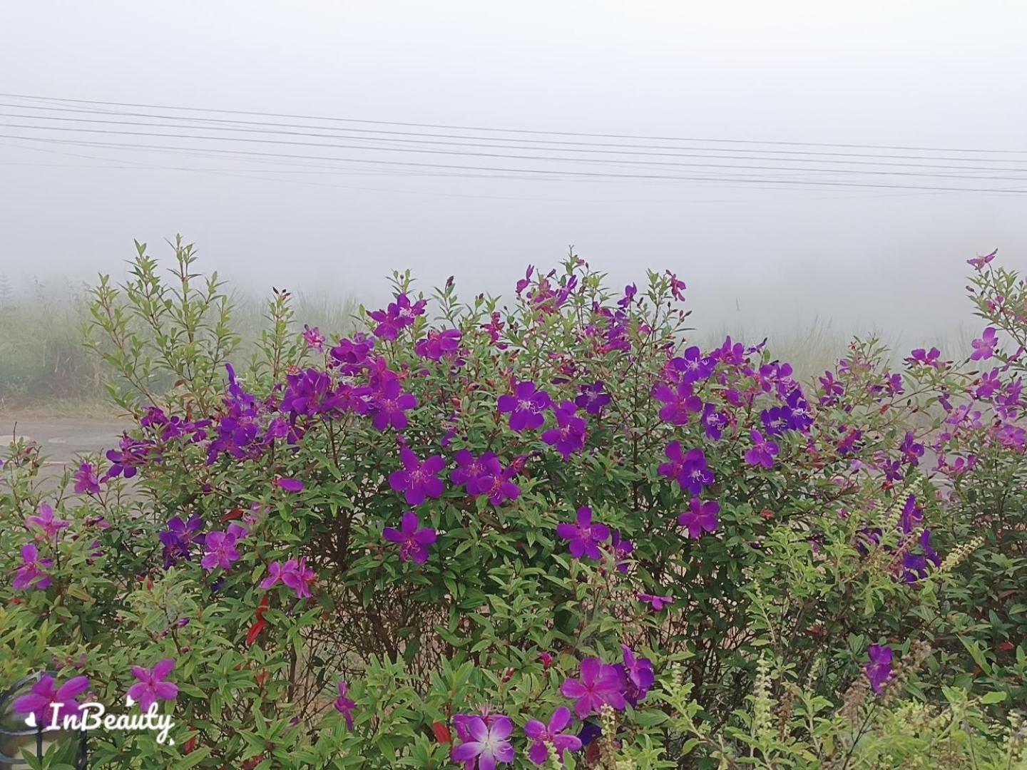 เฟรนด์แคมป์ Villa Khao Kho Bagian luar foto